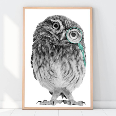 PLAKAT, OBRAZEK SOWA W MIĘTOWYM MONOKLU