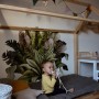 Załóżkownik/naklejka do pokoju dziecka z motywem roślinnym-dżungla/ liście.