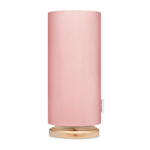 34666-lampsco1898