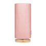34666-lampsco1898