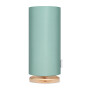 34668-lampsco1926