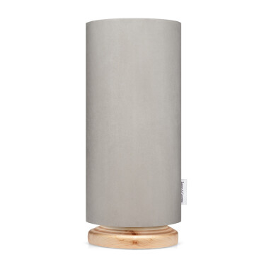 34670-lampsco1925