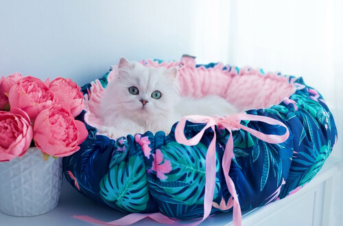 okrągłe legowisko Daisy od Lauren design - Tropic
