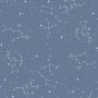 SIMPLE cosmos blue Tapeta