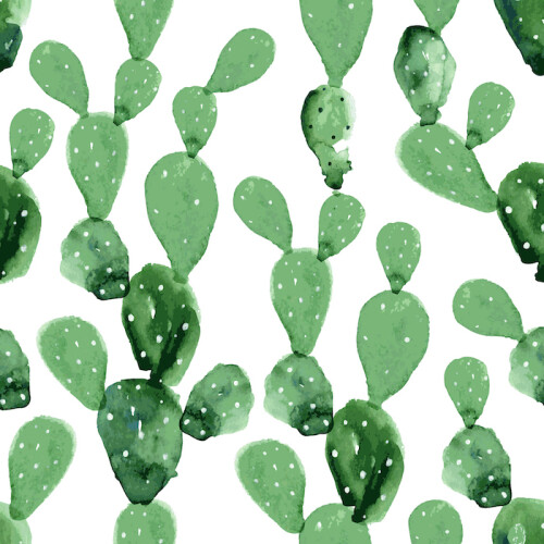 tapeta-pustynny-ogrod-kaktusy