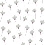 SIMPLE Daisies on white Tapeta