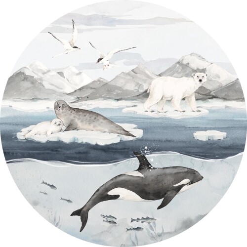Naklejka na ścianę do pokoju dziecka arktyka narwal foka