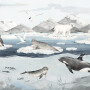 Tapeta mural z Arktyką do pokoju dziecka lub przedszkola. Na tapecie są zwierzęta: niedźwiedź polarny, lis polarny, narwal, foki, pingwiny pokazane w naturalnym środowisku.