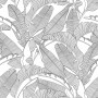 Tapeta w liście bananowca- czarno- biała