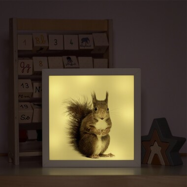 Podświetlany obrazek z wiewiórką do pokoju dziecka