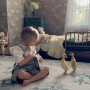 Tapeta ptaki na zielonym tle