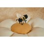 Poduszka Mała Stokrotka, Planet Bee