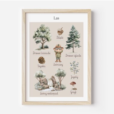 Plakat edukacyjny przedstawiający ELEMENTY LASU, takie jak lew, słoń, zebra i żyrafa, w ich naturalnym środowisku, zaprojektowany w stylu Montessori.