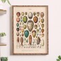 Plakat Oeufs Adolphe Millot 1909 vintage ilustracja jaj ptaków grafika botaniczna