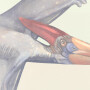 Tapeta mural dla dzieci z dinozaurami – tyranozaur, triceratops i prehistoryczny świat