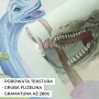 Tapeta mural dla dzieci z dinozaurami – tyranozaur, triceratops i prehistoryczny świat